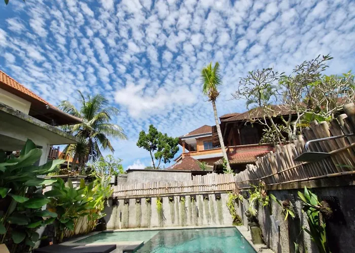Sampara With Mindrum Group 3*
